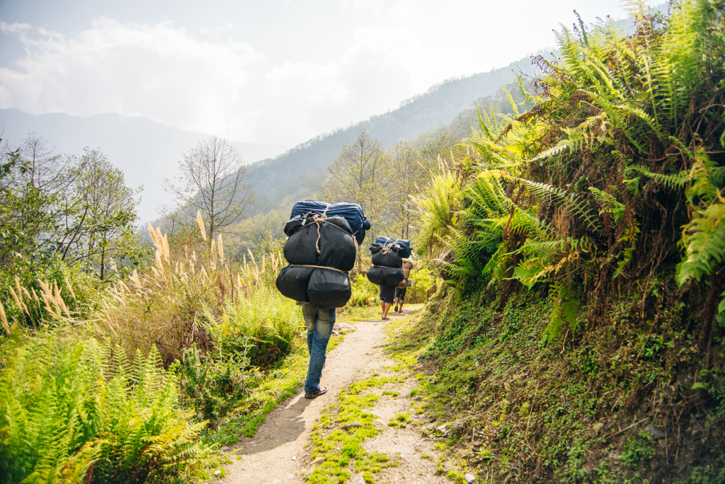 sherpa sur chemin vert