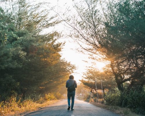 homme qui marche dans les bois